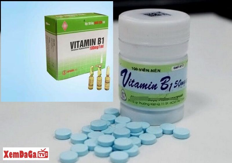 vitamin b1 cho gà