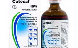 thuốc catosal có tác dụng gì