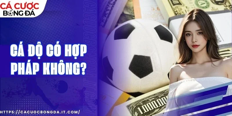 Tìm hiểu thêm về nhà cái trên các diễn đàn