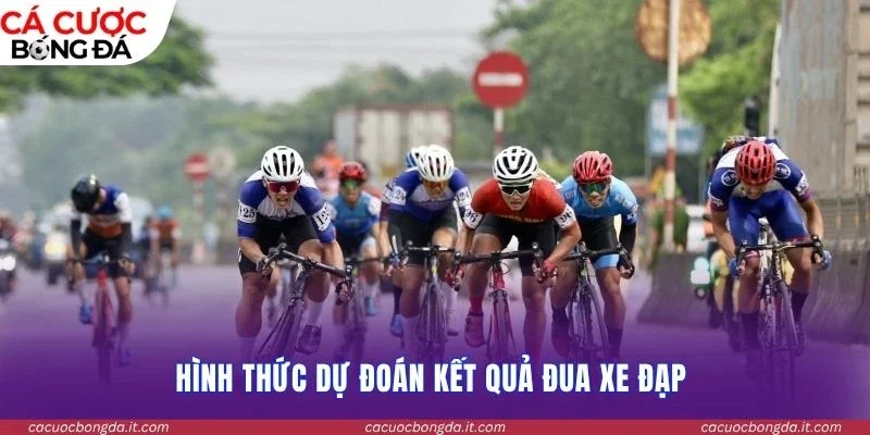 Hình thức dự đoán kết quả đua xe đạp