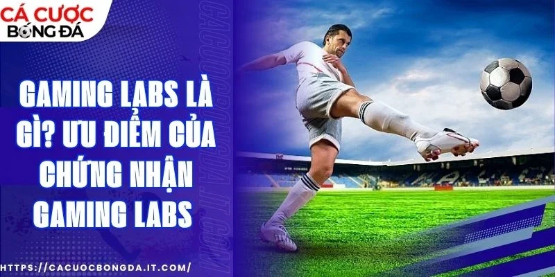 Tầm quan trọng của chứng nhận Gaming Labs