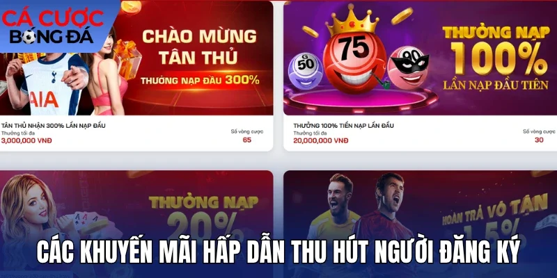Các khuyến mãi hấp dẫn thu hút người đăng ký