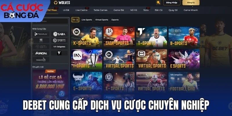 Debet cung cấp dịch vụ cược chuyên nghiệp