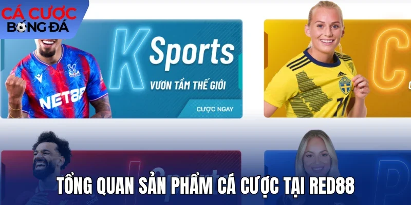 Tổng quan sản phẩm cá cược tại Red88